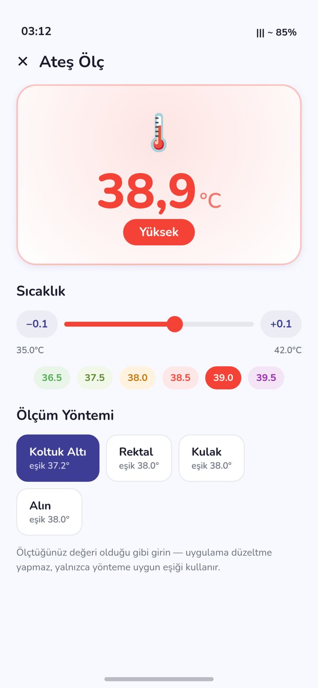 Ateş ölçüm ekranı